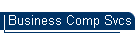 Business Comp Svcs
